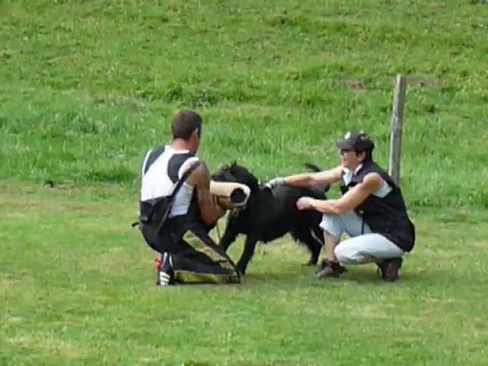 Entraînement 04.08.2012 avec Joaquim Dovat 2ème partie