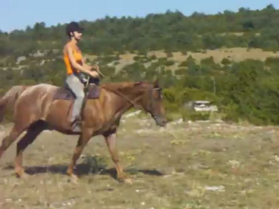Uzège Windymoor, Aout 2012, montée western, au galop sur le Causse