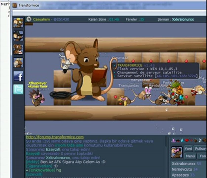 Flasplayer  v.48 şaman hack