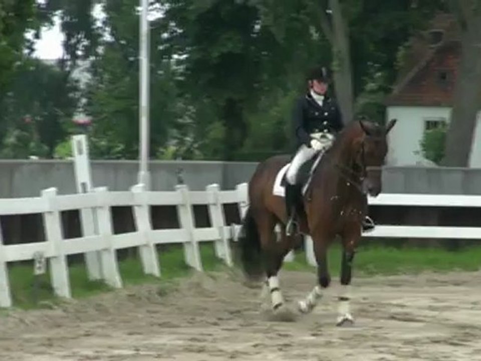 Dressuurwedstrijd  bij Deenen in Heijen met show van Veulens en een kur door  Daphne Kamerbeek met haar paard Piaff.