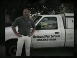 Green Pest Control Tampa |   888-384-8095