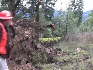 Logging in the 21st Century