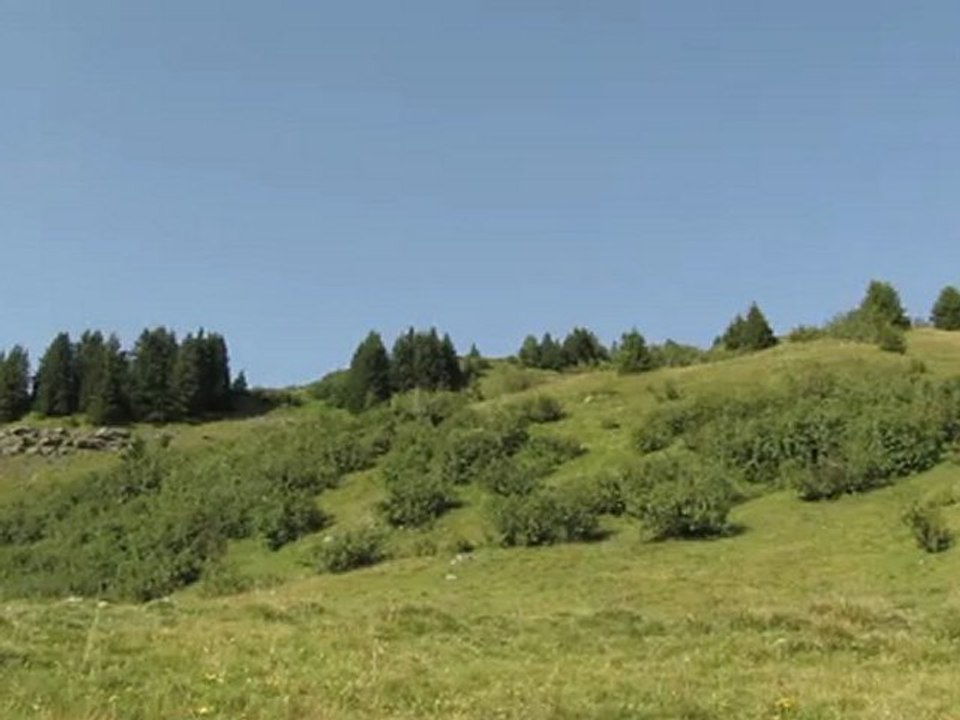 Le Mont Blanc vu depuis le col de Joux Plane
