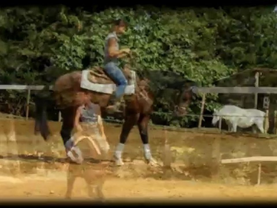 Whizard et Céline