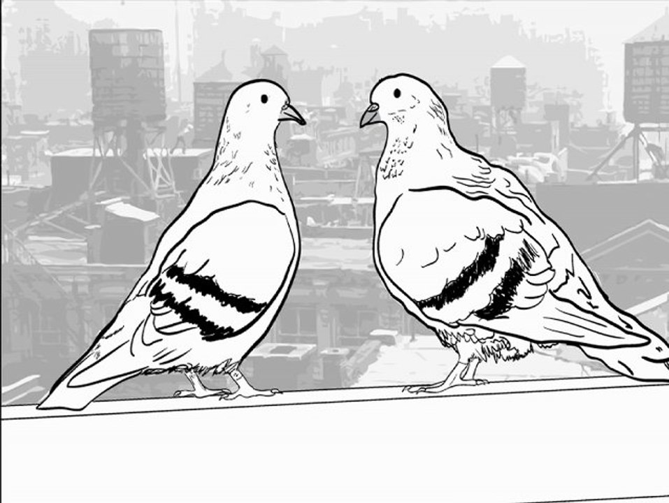 Animals - "Pigeons"