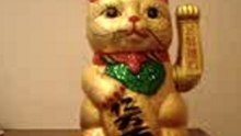notre ti chat