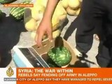 Rebels fend off Syrian army in Aleppo