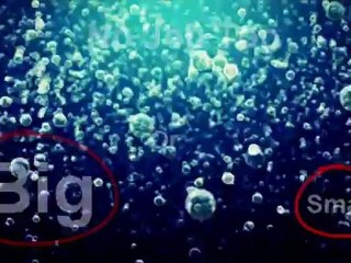 Phillip Bay Plumbing Services | Call 1300 679 274