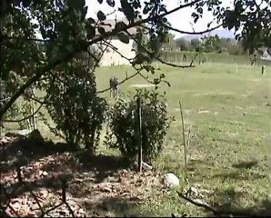 vacances au gite de la Cab'anerie