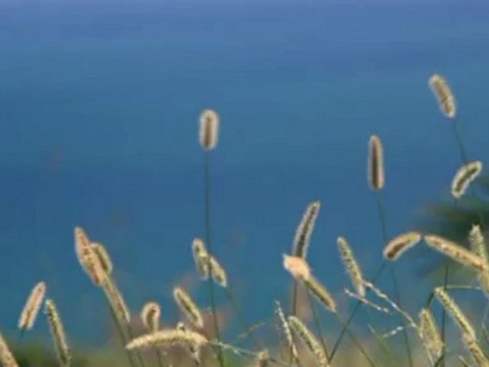 Ma vidéo