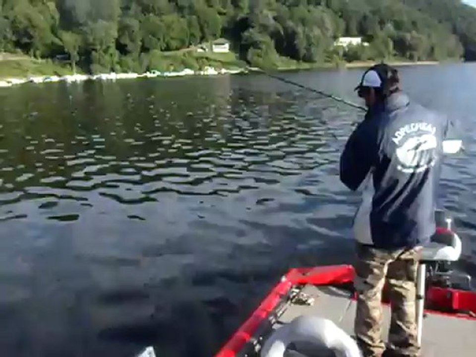 Vidéo sandre Bort 4 aout 2012