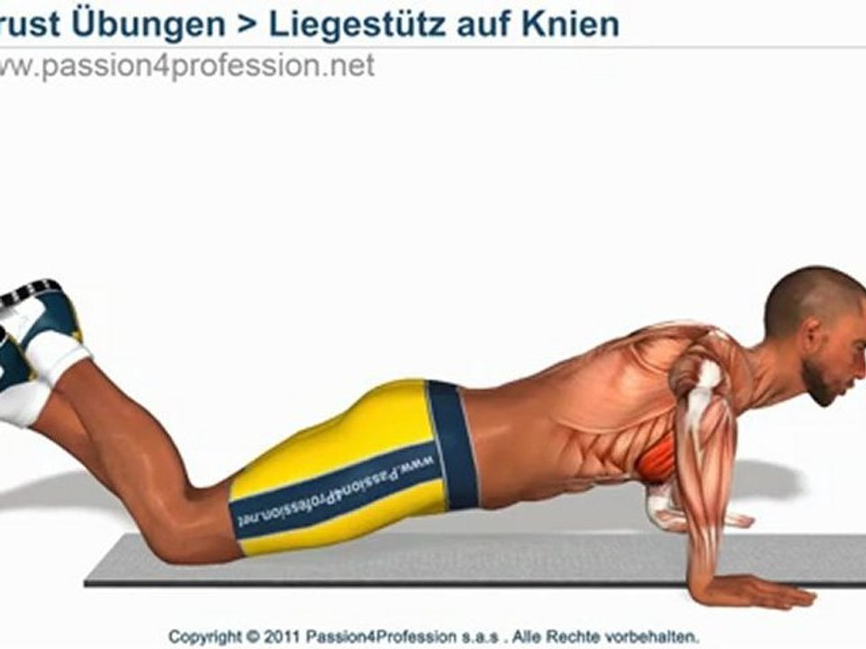 Liegestutz auf Knien