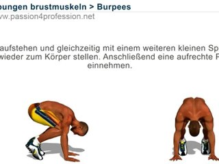 Training für Brust, Trizeps und Schultern