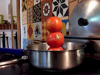 Saut de tomates en sauce.