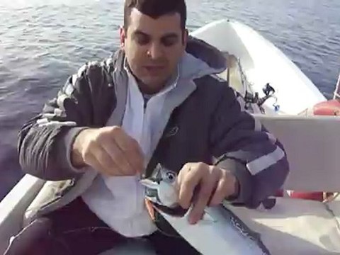 ANTALYA ADRASANDA YAZILI ORKİNOS AVI VİDEOSU - adrasanbalik.com