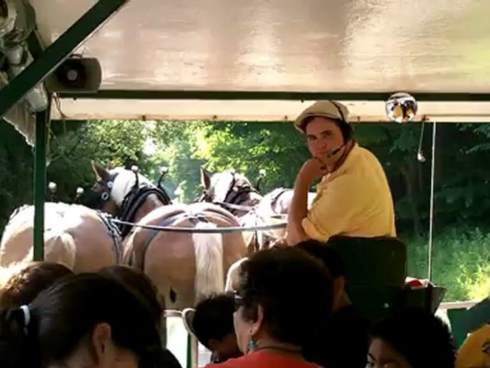 Horse And Buggy Driver - We had a fun driver during our horse and buggy ride. Mackinac Island, Michigan.