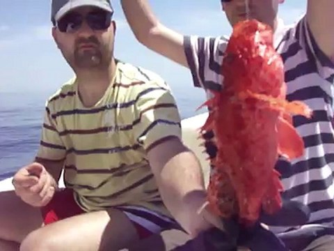 BALIK AVINDA İSKORPİT BALIĞI AVI VİDEOSU - adrasanbalik.com