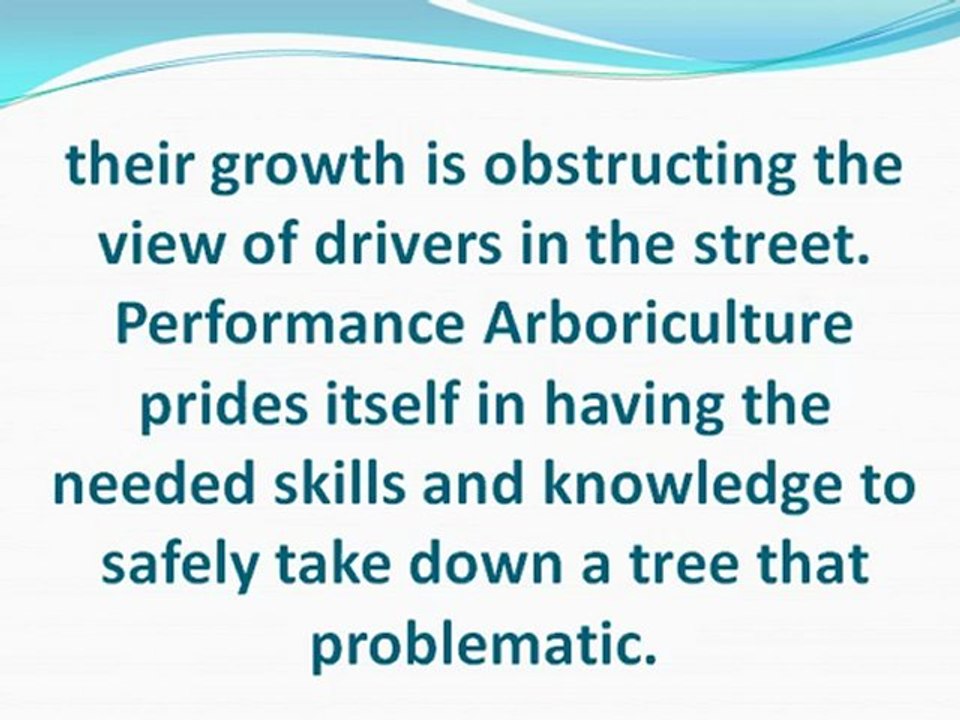 Reliable Tree Services from Performance Arboriculture