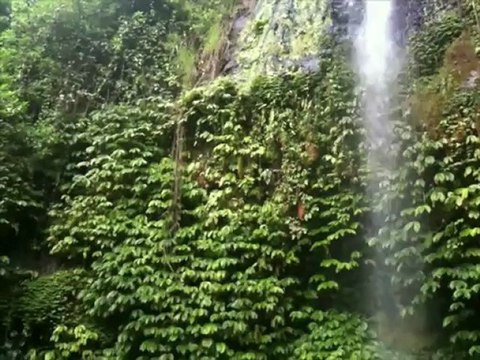 slices shot on iPhone