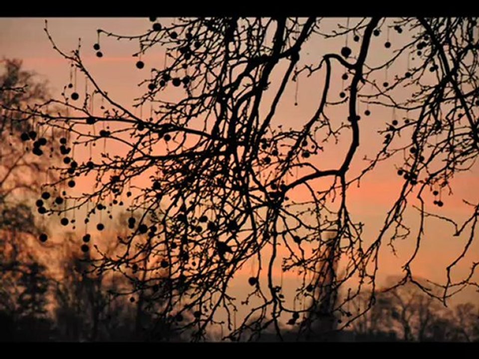 Azger - Idir