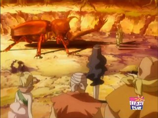 Mushiking cap 41 El camino a seguir