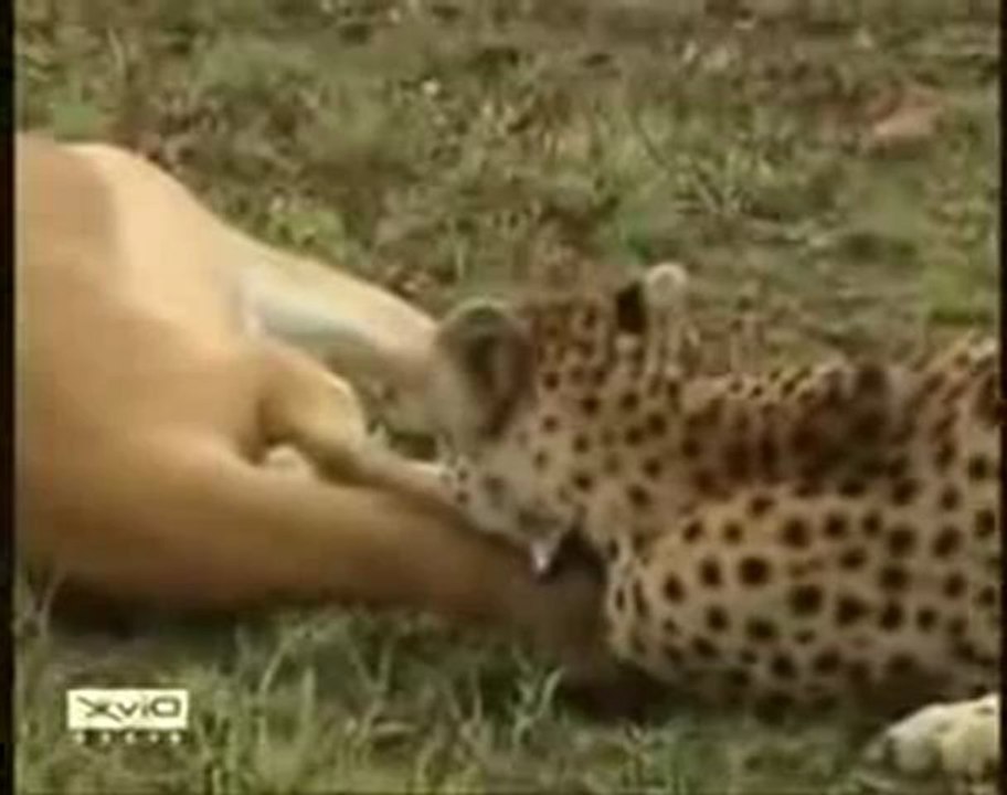 "Annelik duygusu bu  olsa  gerek  "  Soner  GENEL