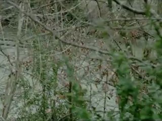 Confession d'un enfant du siècle - Extrait 3 - Le suicide