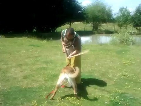 Gorki des crocs sentinelles