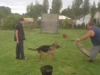 Hurka 1er sceance de dressage