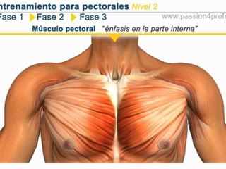 Entrenamiento pectorales Nivel 2