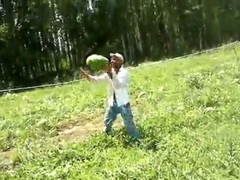 MİRZE ÇİFTÇİ KARPUZ BOSTANI HAKVEYİS