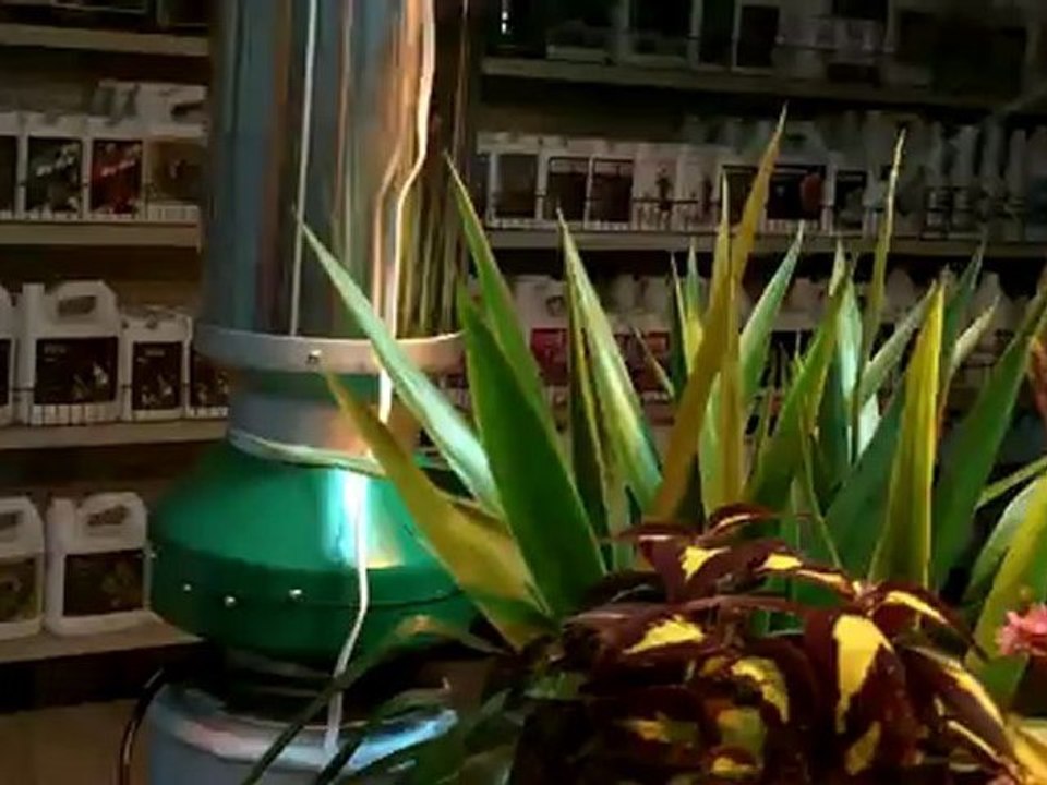 Organic Gardening - The Green Thumb Garden Center. Indoor and out door organic gardening. Hybrid gardening. Natural gardening. Herb garden.