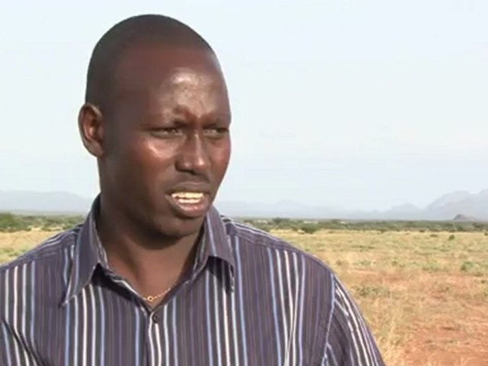 Kampf um die letzten Riesen-Zebras