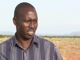 Kampf um die letzten Riesen-Zebras