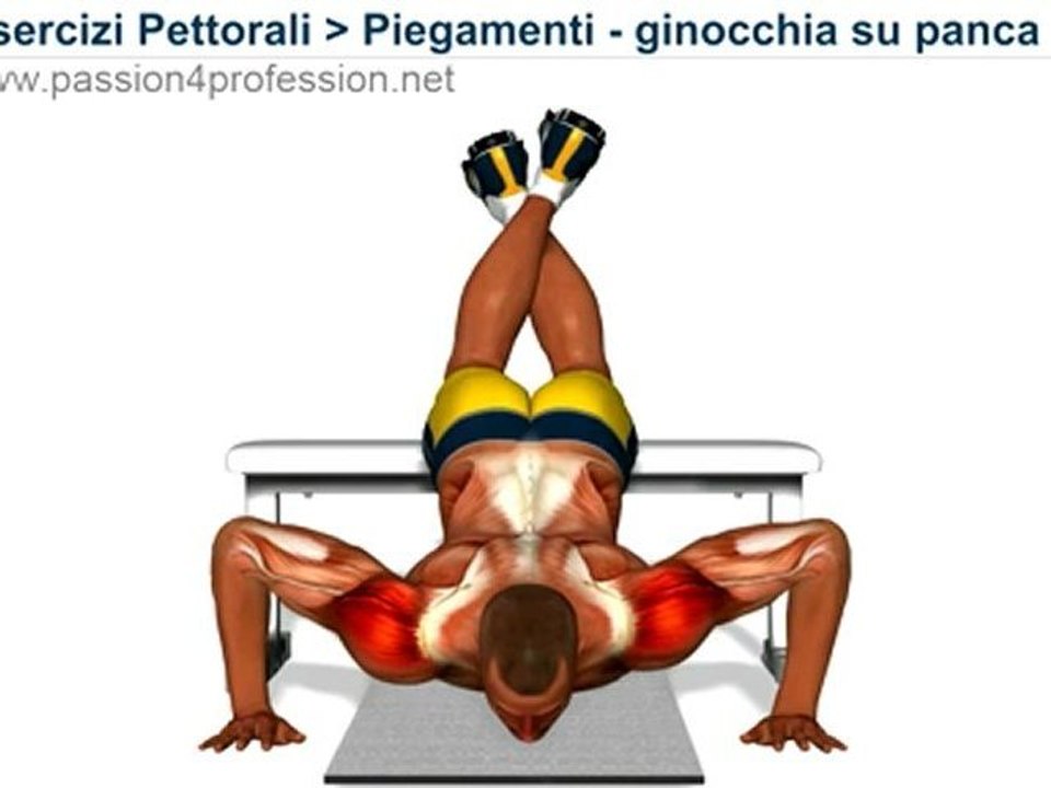 Piegamenti - ginocchia su panca ( esercizio pettorali )