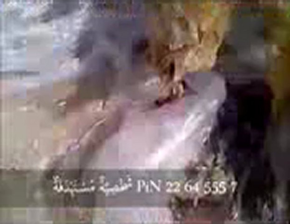 يا خوي كان من اول نزلته