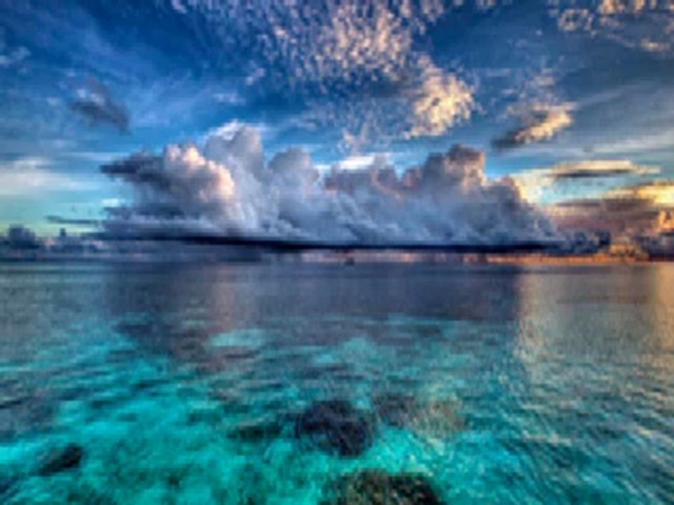 LES FANTÔMES (La Shlap )