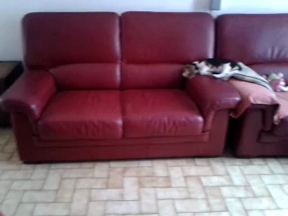 video-2012-08-06-11-54-19