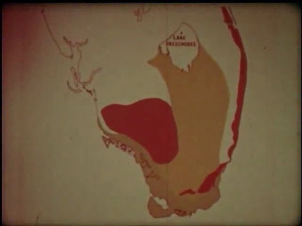 Everglades ecological study