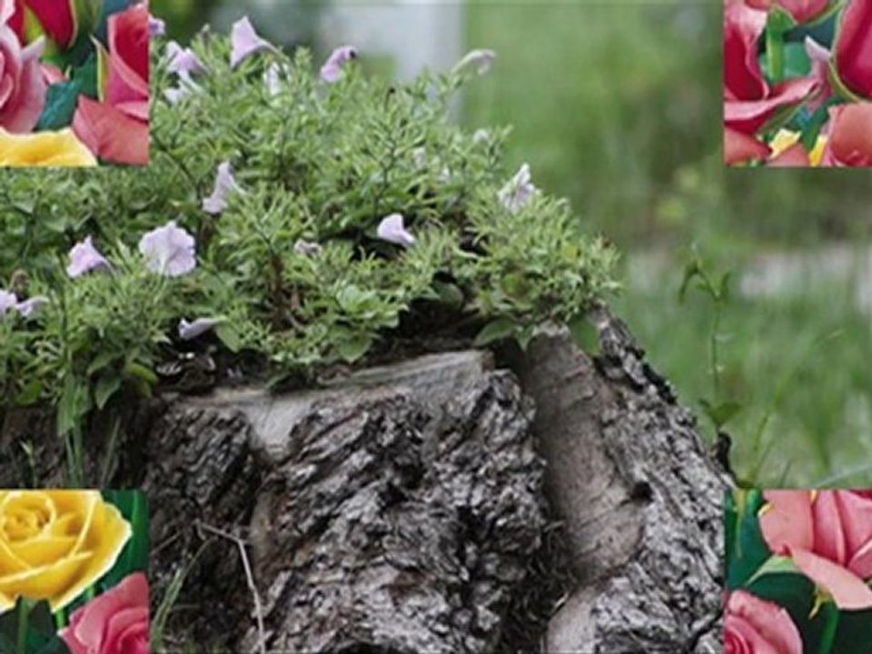 ЖЕНИТЕ на  СВЕТА