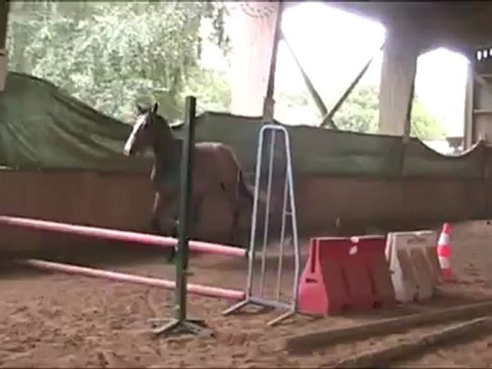 Amset Palija- 1ère barres