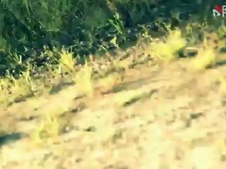 WEEK (end) - Surf video - Xtrem Trip Video Contest