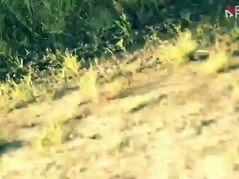 WEEK (end) - Surf video - Xtrem Trip Video Contest