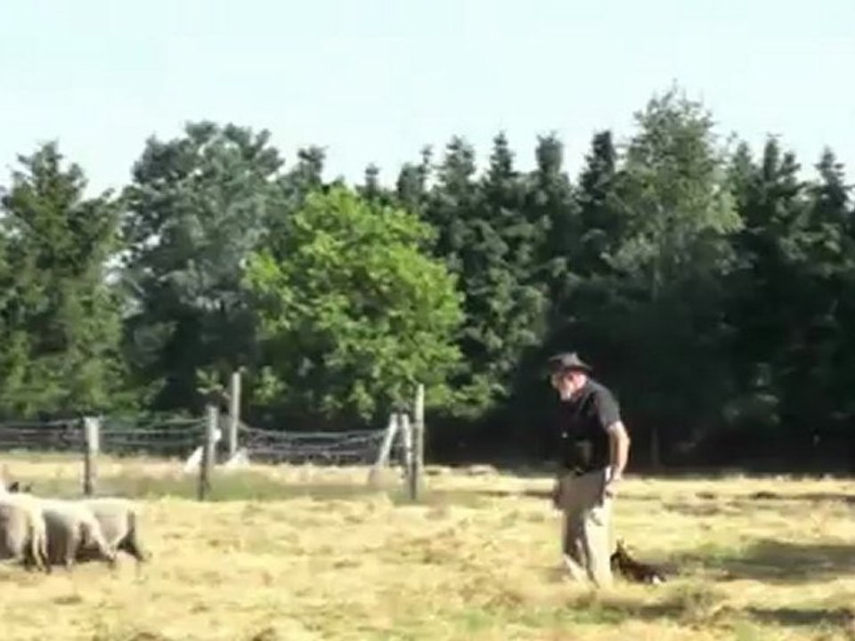 Linda au troupeau chez Raf