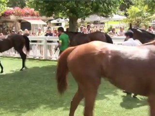 PLEIN CADRE : PRIX SMC CLAIREFONTAINE - DEAUVILLLE