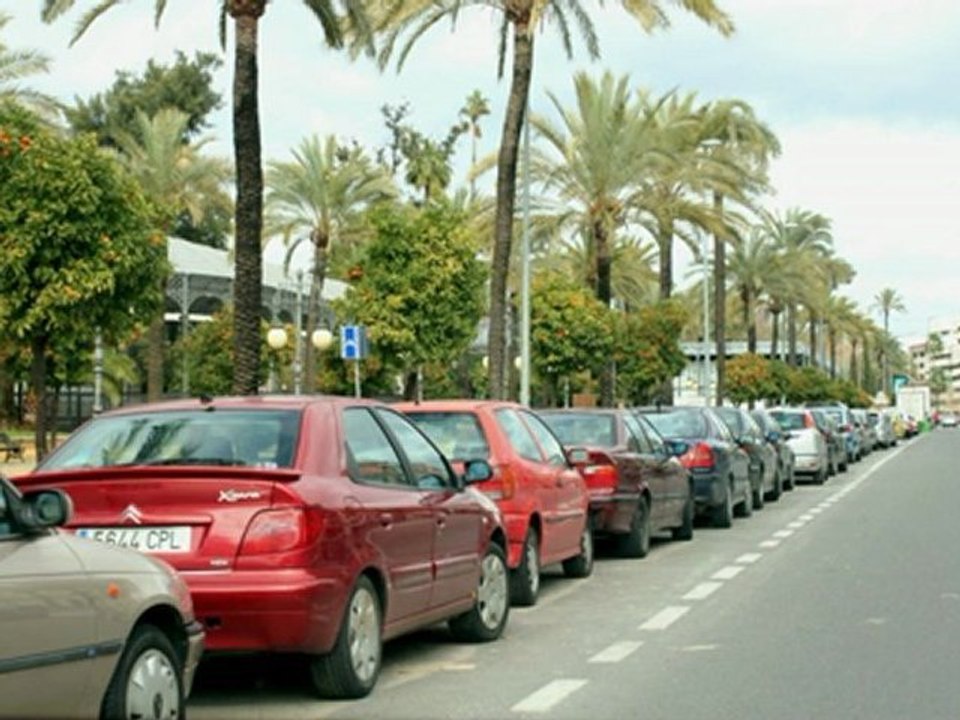 13 Seguridad Vial inmovilizaciones. normas generales