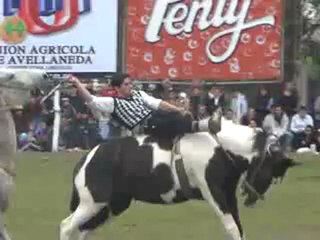 2012-08-05 - Doma Y Jineteada (pate 2) (Expo rural 2012)