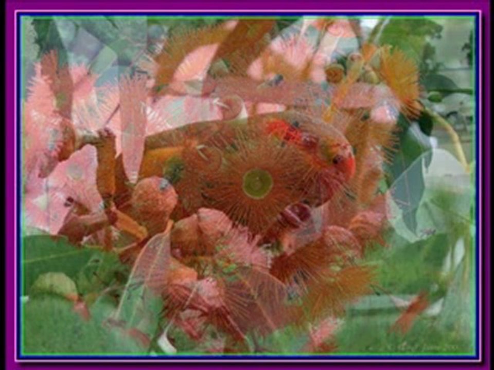 SOME PICS I LIKE _1