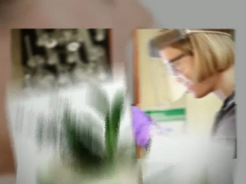 Acne Scar Cream - Acne Cream Solutions