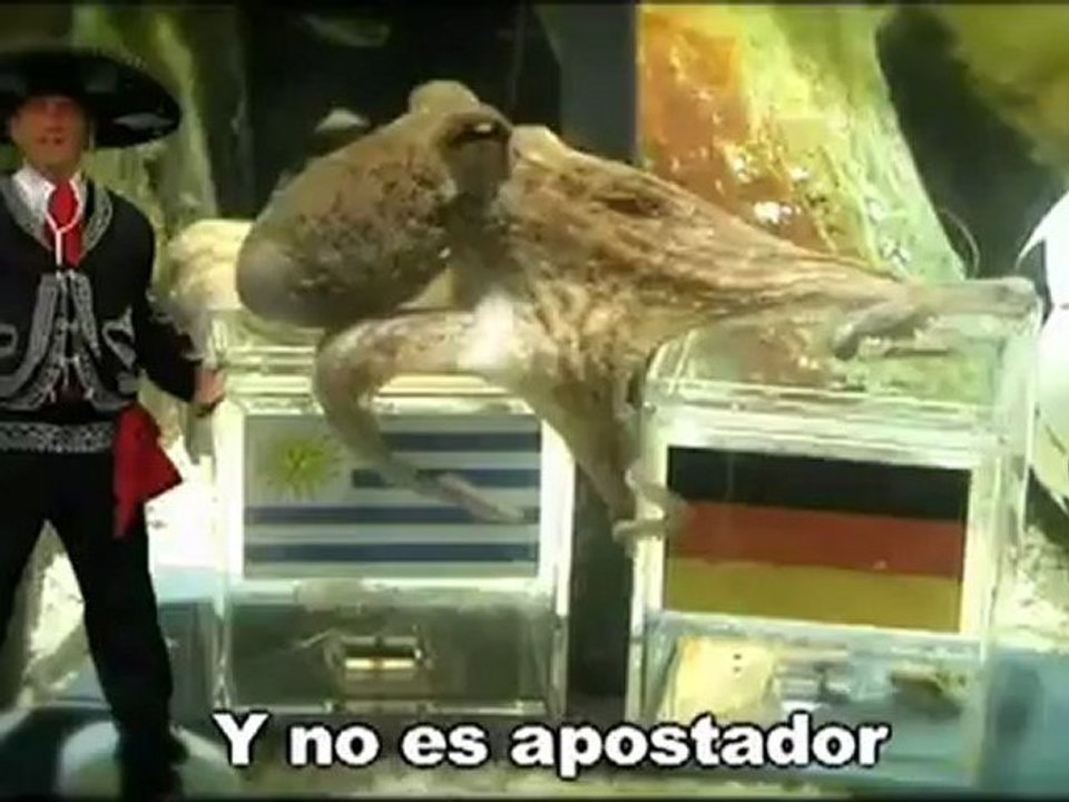 Paul si atina (videogol)